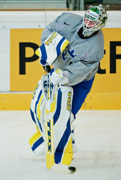 Johan Holmqvist, målvakt