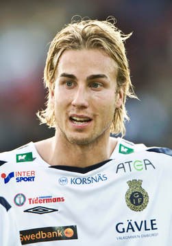 Daniel Theorin, porträtt