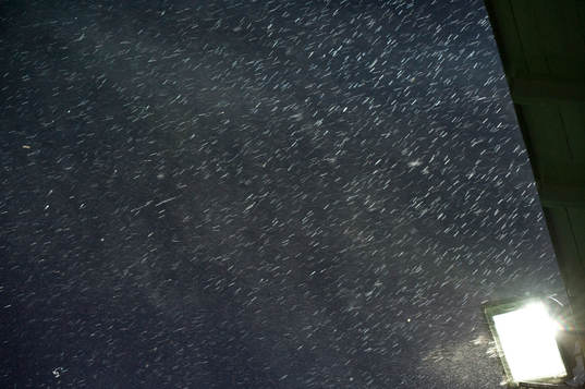 Regn, oväder, belysning, elljus, strålkastare, genre