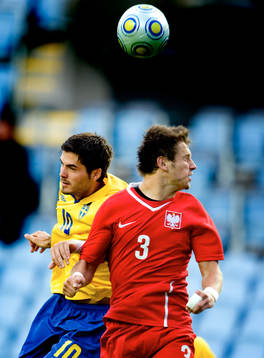 Denni Avdic, Sverige, Grzegorz Krychowiak, Polen