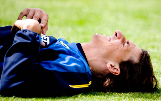 Zlatan Ibrahimovic grinar illa