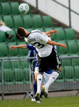 Sandro Wagner, Tyskland