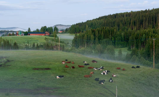 Gårdtjärn, Kovland, Sundsvall, utsikt från Gåltjärn