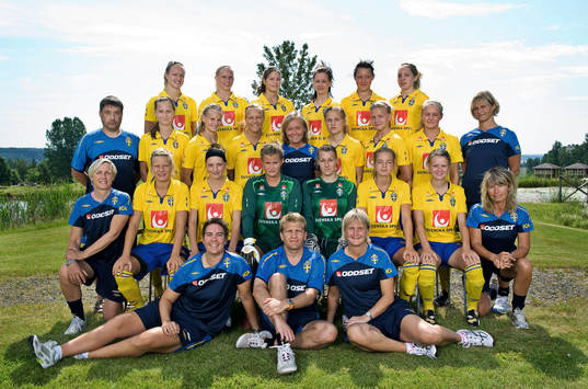 Gruppbild, lagbild