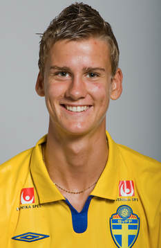 Johan Hammar, Sverige
