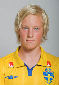 Johan Andersson, Sverige