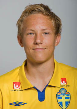 Ludwig Augustinsson, Sverige