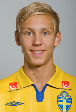 William Ankarhake, Sverige