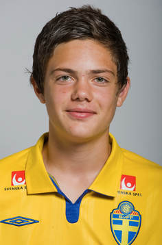 David Moberg Karlsson, Sverige