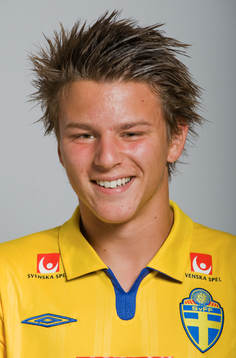 Nikola Zivanovic, Sverige