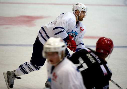 Ishockey, Välgörenhetsmatch,  BT All Stars - NHL