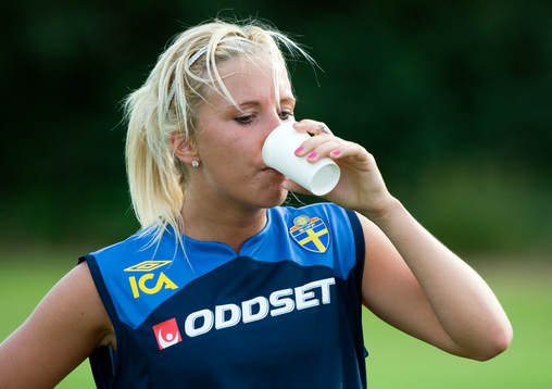 Louise Fors, Sverige