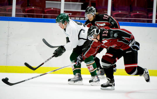 Bläddra bland fler bilder av Ishockey, Nordic Trophy, Malmö - Färjestad
