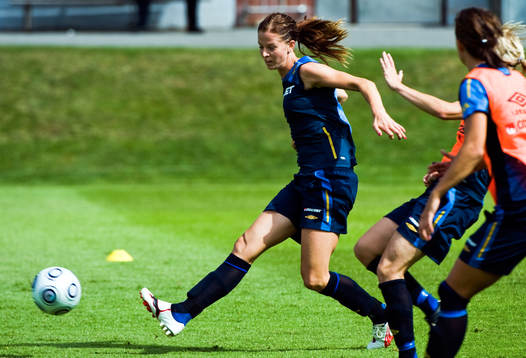 Lotta Schelin, Sverige