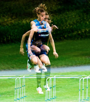 Lotta Schelin, Sverige