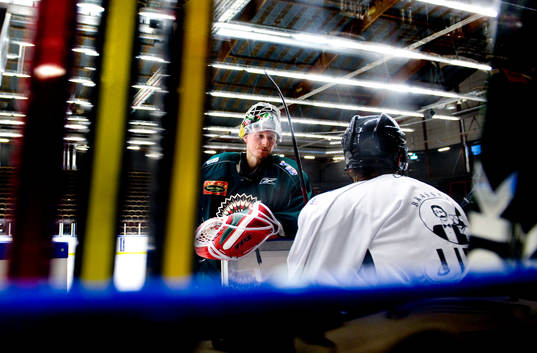 Johan Holmqvist, målvakt