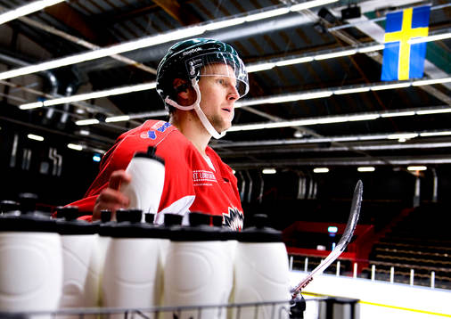 Mikko Lehtonen