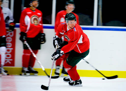 Mikko Lehtonen