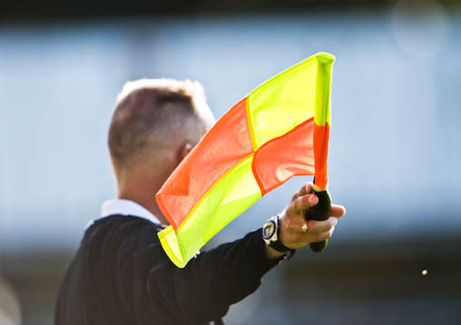 Flagga, domare, genre