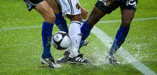 Boll, ben, blött, regn, vatten, genre
