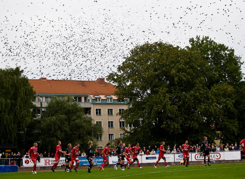 Fotboll, Division 1 Södra, Kristianstad - Öster