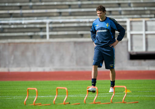 Bläddra bland fler bilder av Fotboll, Sverige, VM-kval