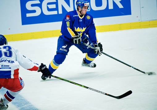 Oscar Hedman, Sverige