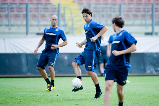 Daniel Majstorovic, Zlatan Ibrahimovic och Marcus Berg