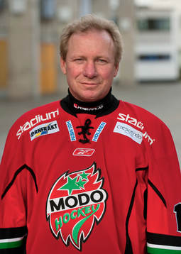 Thomas Steen, tränare, Modo