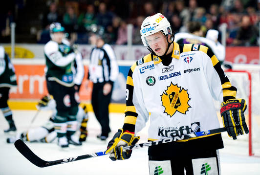 Fredrik Warg, Skellefteå