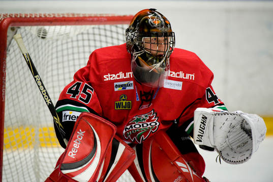 Roman Malek, Målvakt