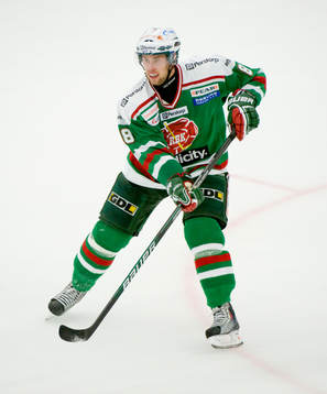 Ishockey, Elitserien, Mathias Porseland, Rögle