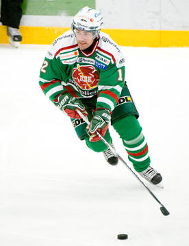 Ishockey, Elitserien, Peter Högardh, Rögle