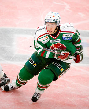 Ishockey, Elitserien, Andrée Brendheden, Rögle