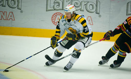 Fredrik Warg, Skellefteå