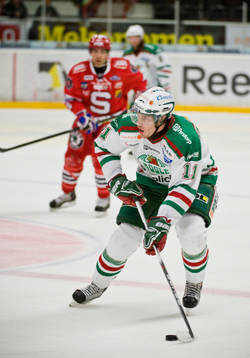 Mattias Sjögren, Rögle
