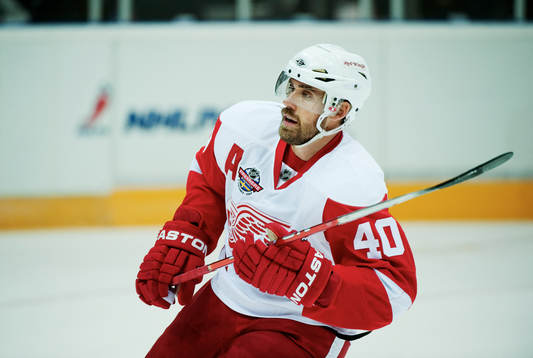 Henrik Zetterberg, Detroit