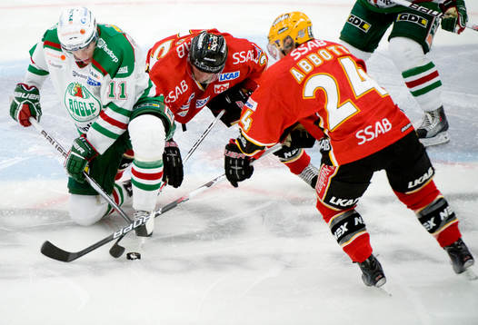 Mattias Sjögren, Rögle och Chris Abbott och Cam Abbott,