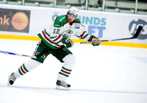 Ishockey, Elitserien, Peter Högardh Rögle