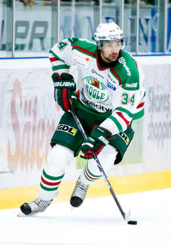 Ishockey, Elitserien, Daniel Rahimi, Rögle