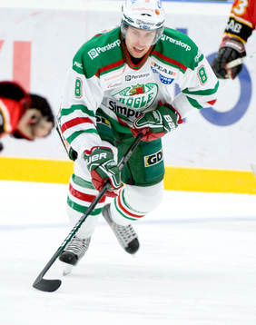 Mathias Porseland, Rögle