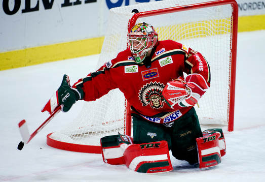 Johan Holmqvist, målvakt