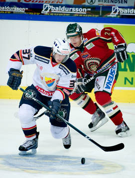 Henrik Eriksson, Djurgården