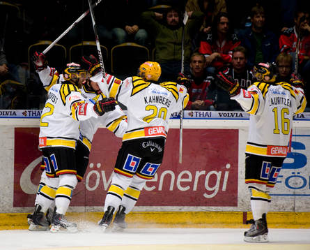 Mads Hansen, Brynäs jubel