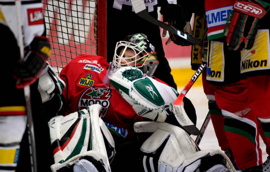 Niklas Svedberg, Målvakt