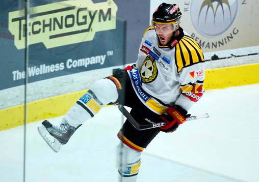 Stephen Dixon, Brynäs, jubel