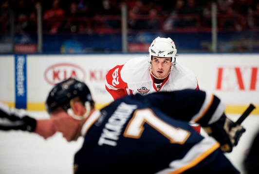 Jonathan Ericsson, Detroit