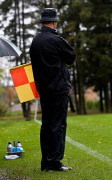 Assisterande domare, flagga