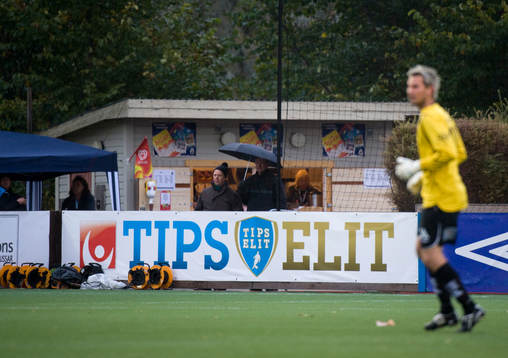 Tipselit