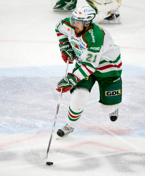 Ishockey, Elitserien, Johan Alcén, Rögle